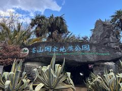 -苍山感通索道