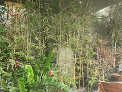-沁欣堂推拿艾灸