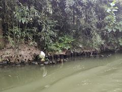 -烟水渔庄餐厅(西溪湿地店)