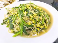 韭菜炒沙郁豆芽-阿水土鸡(朝阳总店)
