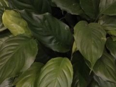 -和记小菜(大宁店)
