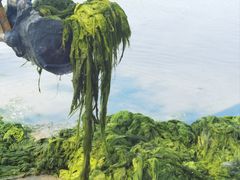 -龙舟池