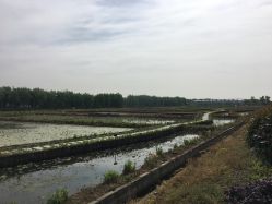 景点-水八仙生态园