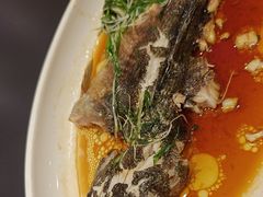-沪华海鲜大酒楼(南汇店)