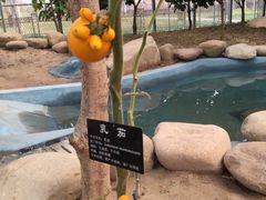 -南通洲际绿博园