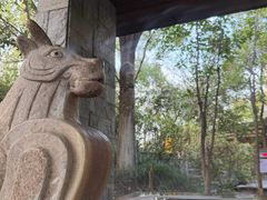 -张家港金凤凰度假村温泉
