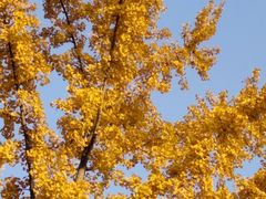 -西南民族大学南区(双流校区)