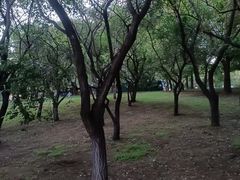 -黛秀湖公园
