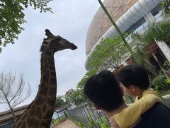 -灵玲国际马戏城