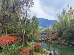 -九华山风景区