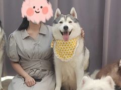 -星多哈·狗咖·拼豆·咖啡