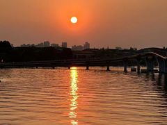 -金鸡湖景区