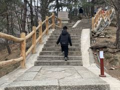 -京北渔家傲