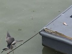 -上海市外滩历史纪念馆