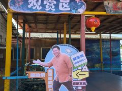 -蓝湾碧波·老字号·疍家非遗海上餐厅