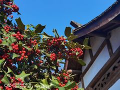 -杭州植物园