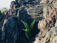 -夏威夷火山国家公园