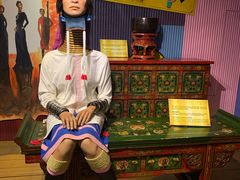 -信不信由你博物馆