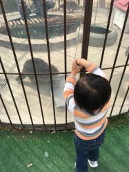 -萌宠亲子动物乐园(槐房万达店)