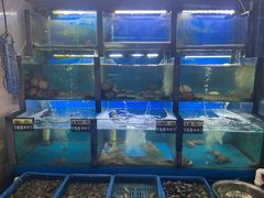 -老东镇啤酒屋海鲜加工·蒸汽海鲜·海鲜烧烤(台东店)