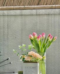 -美肤盾祛痘·问题肌头疗管理中心