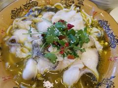 -阿英煲(凉城路店)