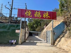 -烧鹅妹饭店