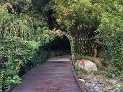 -苏州金鸡湖大酒店