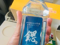 -威海大水泊国际机场