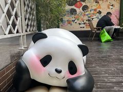 -轩客会(熊猫书店)