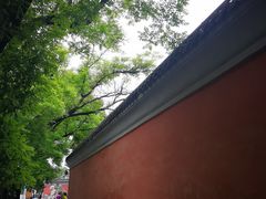 -国家图书馆·古籍馆