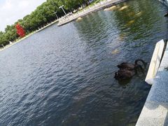 -长春世界雕塑园冰雪艺术天地