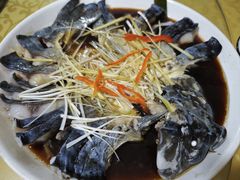 -煲来饱去冷水鱼
