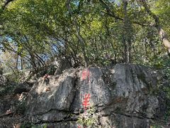 -南京老山国家森林公园