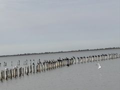 -哈素海