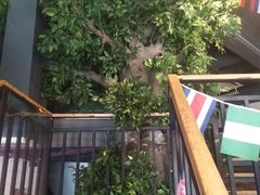 -靓蛙馆