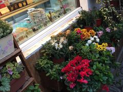 -狐狸家·酸奶酪专门店(平江路店)