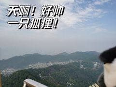 -大金鹰园