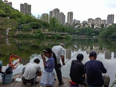 -重庆彩云湖湿地公园