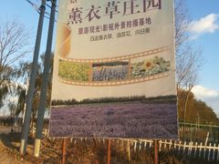 android_upload_pic-北京东方普罗旺斯薰衣草庄园