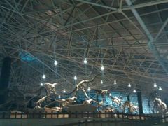 -世界恐龙谷景区