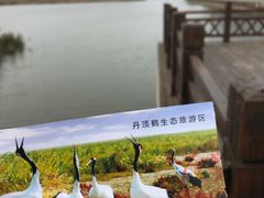 -盐城丹顶鹤湿地生态旅游区