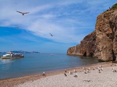 -海驴岛(荣成市)