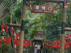 -呀诺达热带雨林