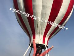 -荷兰花海