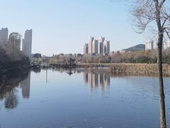 -前关湿地公园