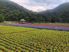 -广州市石门国家森林公园