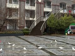 -莫干山风景区