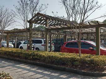 葡萄景观停车场