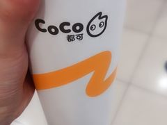 -CoCo都可(双井家乐福店)